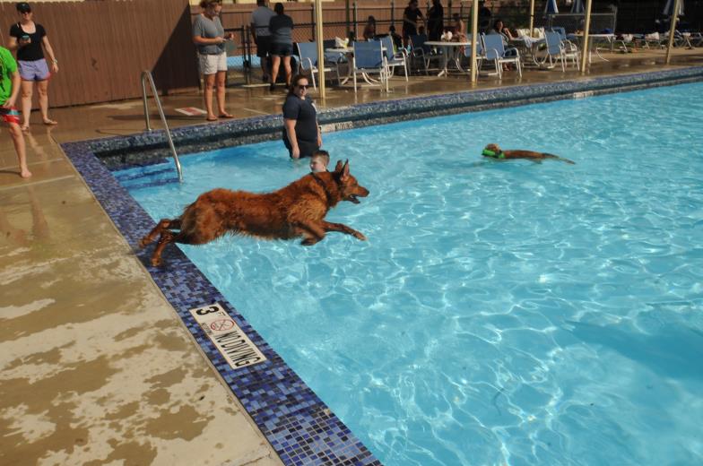 Danny's Pool Service & Repair: Service Image-1 Danny's Pool Service & Repair: Service Image-1